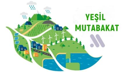 Yeşil Mutakabat Nedir?